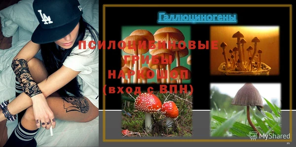PSILOCYBIN Алексин